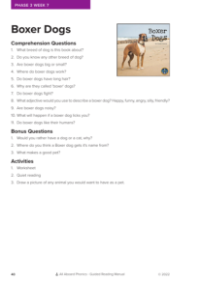 "Boxer Dogs" - Phonics Story - Worksheet