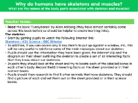 What are the names of the body parts associated with skeleton and muscles? - Teacher notes