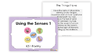 1. Introducing the Senses