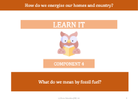 What do we mean by fossil fuel? - presentation
