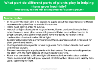 What are the key factors that are important to a plant's growth? - teachers notes