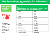 Who wants a million points? - Circulatory system