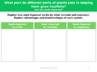 Seed dispersal by wind - worksheet