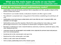 Sedimentary rocks - Info pack