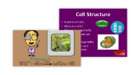 Cell Structure and Function