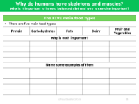 Five main food types - Worksheet