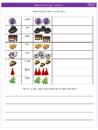 Spelling - Home learning - Plurals