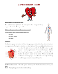 The Cardiovascular System - Reading with Comprehension Questions