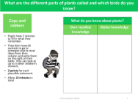 Cops and Robbers - What do you know about plants? - Year 1
