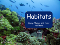 Habitats - Presentation