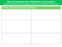 Other creatures that have a skeleton - Worksheet