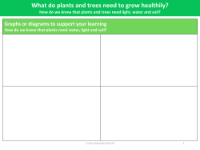 Graph or diagram to support your learning - Worksheet - Year 2