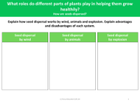 Seed dispersal by wind - worksheet