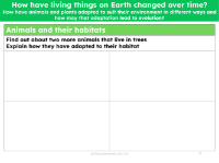 Research the adaptations of two arboreal animals - worksheet