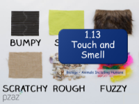 Touch and Smell - Presentation