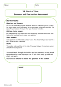 Start of Year Grammar and Punctuation Assessment Test