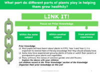Link it! Prior knowledge - Plants - 2nd Grade