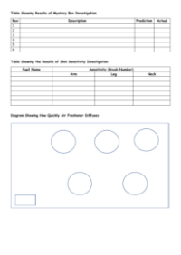 Touch and Smell - Results Tables