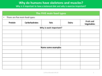 Five main food types - Worksheet