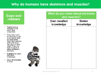 Cops and robbers - What do you know about skeletons and muscles?