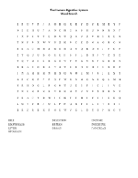 Word Search