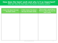 How the heart works - What I know - Worksheet