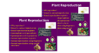 Plant Reproduction - Middle School