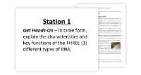 Transcription and Translation - Protein Synthesis - 7 Engaging Lab Stations