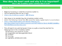 What is the circulatory system and how does it work?  - Teacher notes
