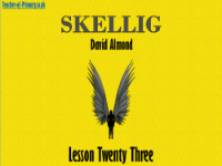 Skellig Lesson 23: Themes - PowerPoint